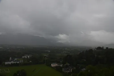 DSC_6382 (Large).JPG